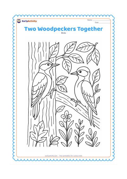 Colouring page: Two woodpeckers occupy neighbouring branches, one clinging to a trunk and the other turning its head toward it. Include detailed leaves, small twigs, bark patterns and woodland plants.