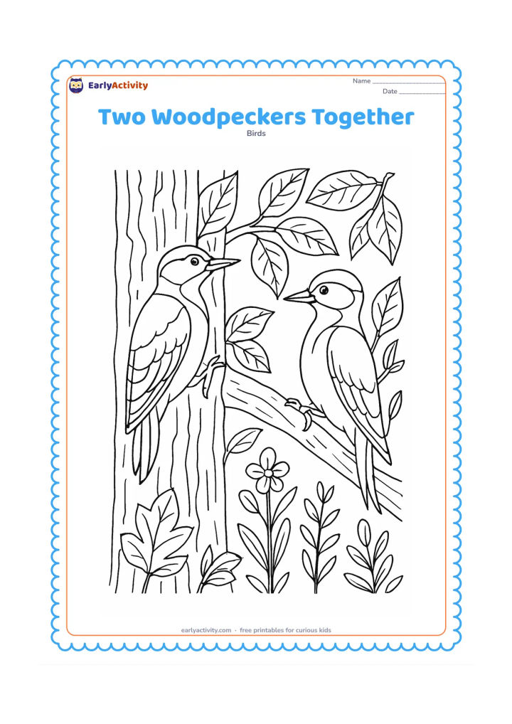 Colouring page: Two woodpeckers occupy neighbouring branches, one clinging to a trunk and the other turning its head toward it. Include detailed leaves, small twigs, bark patterns and woodland plants.