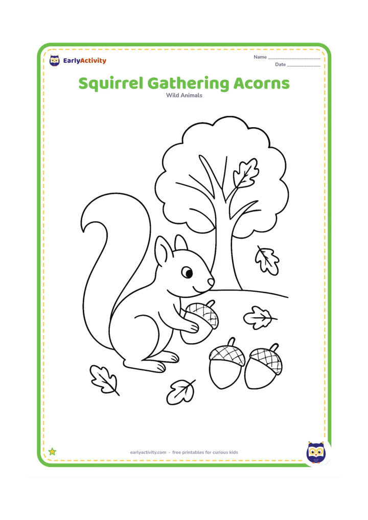 Colouring page: Draw a squirrel carrying one acorn toward two more acorns beneath a tree, with a few leaves scattered on the ground.