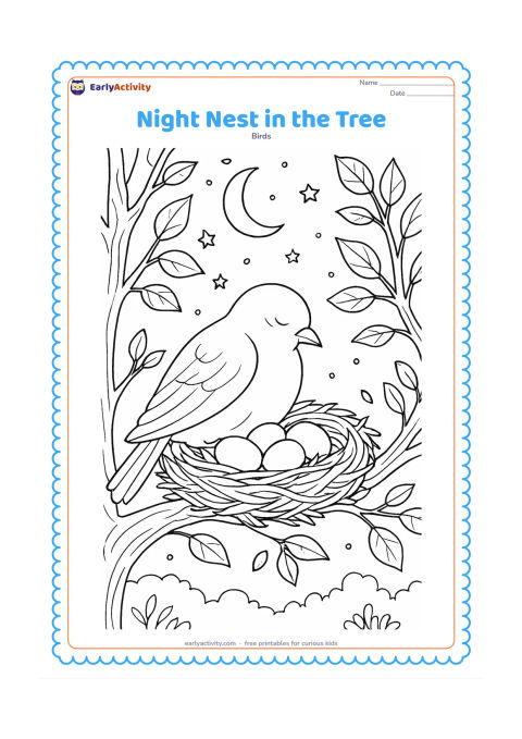 Colouring page: A parent bird settles over eggs in a nest at night, surrounded by detailed branches and leaves. Include a crescent moon, scattered rounded stars, textured bark and a quiet distant treeline.