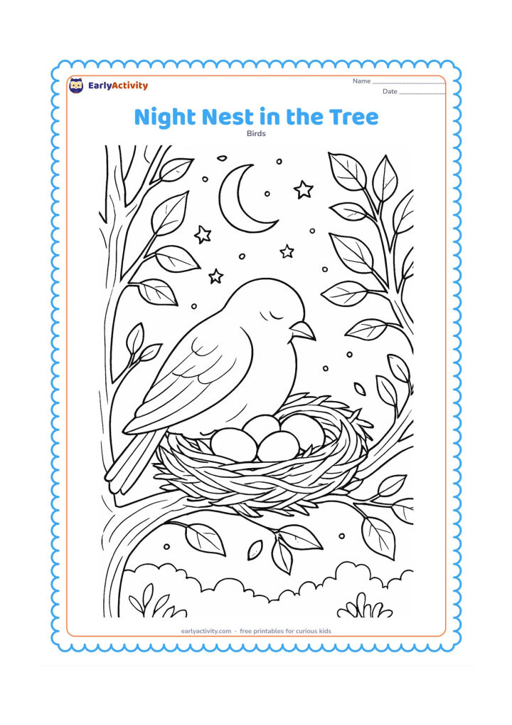 Colouring page: A parent bird settles over eggs in a nest at night, surrounded by detailed branches and leaves. Include a crescent moon, scattered rounded stars, textured bark and a quiet distant treeline.
