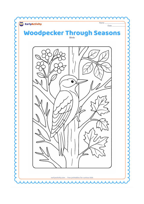 Colouring page: A central woodpecker clings to a tree divided into four natural sections showing spring blossoms, summer leaves, autumn leaves and winter bare branches. Keep the bird continuous and…