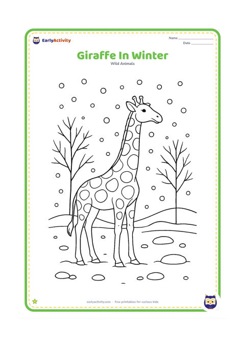 Colouring page: A giraffe stands in a cool grassland with bare-limbed trees, light falling snow and a few rounded snow patches on the ground. The animal looks calmly toward a distant hill.