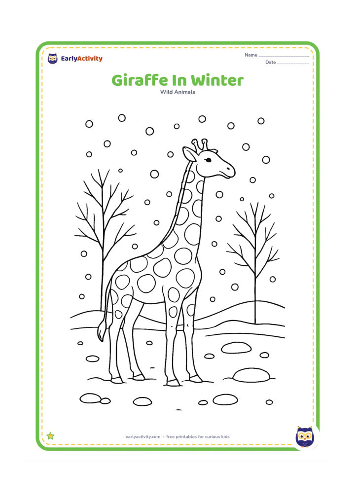 Colouring page: A giraffe stands in a cool grassland with bare-limbed trees, light falling snow and a few rounded snow patches on the ground. The animal looks calmly toward a distant hill.
