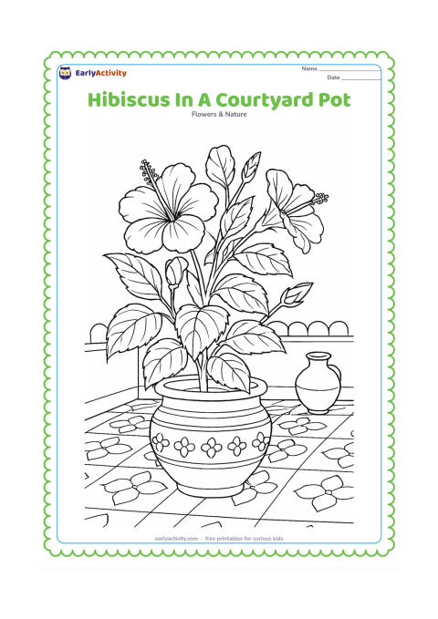 Colouring page: Draw a richly leafy hibiscus growing in a decorated clay pot in an Indian courtyard, with an open bloom, side-facing bloom, buds, patterned floor tiles, a low wall, and a water vessel.