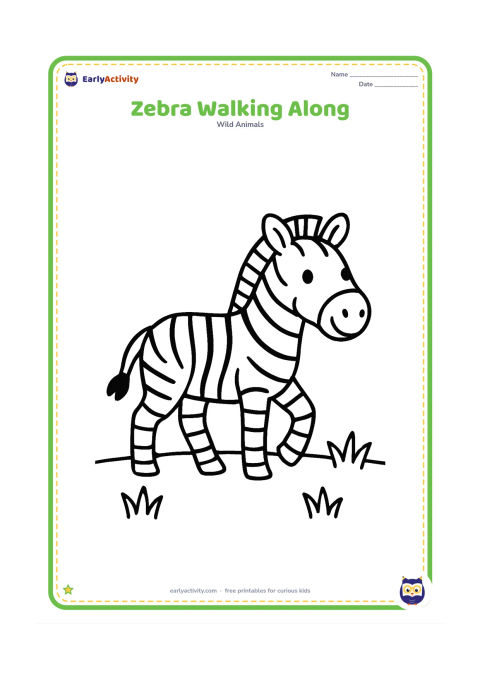 Colouring page: Draw one zebra walking from left to right with its head turned slightly toward the viewer. Add a low horizon and three simple grass clumps.