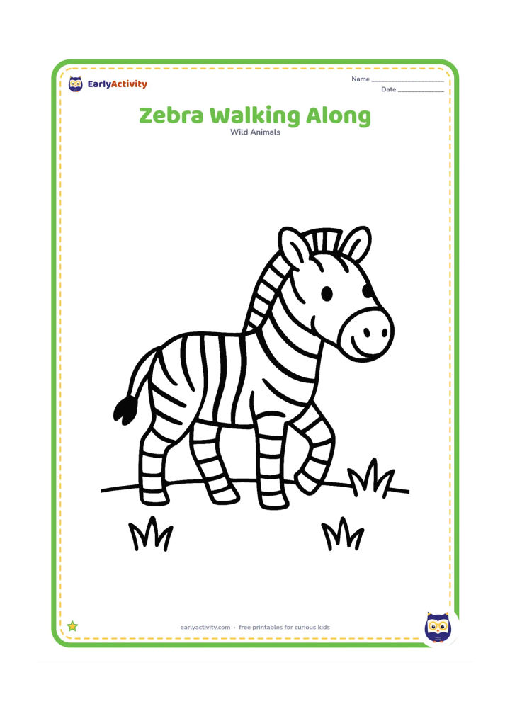 Colouring page: Draw one zebra walking from left to right with its head turned slightly toward the viewer. Add a low horizon and three simple grass clumps.