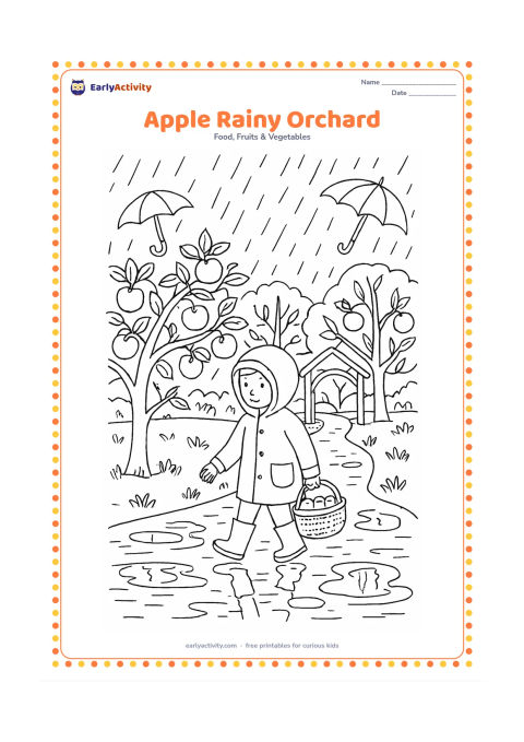 Colouring page: Draw a rainy orchard with apple trees, ripe fruit, puddles, a child in a raincoat carrying a basket and a small covered path. Include raindrops, umbrellas and reflections in the puddles.