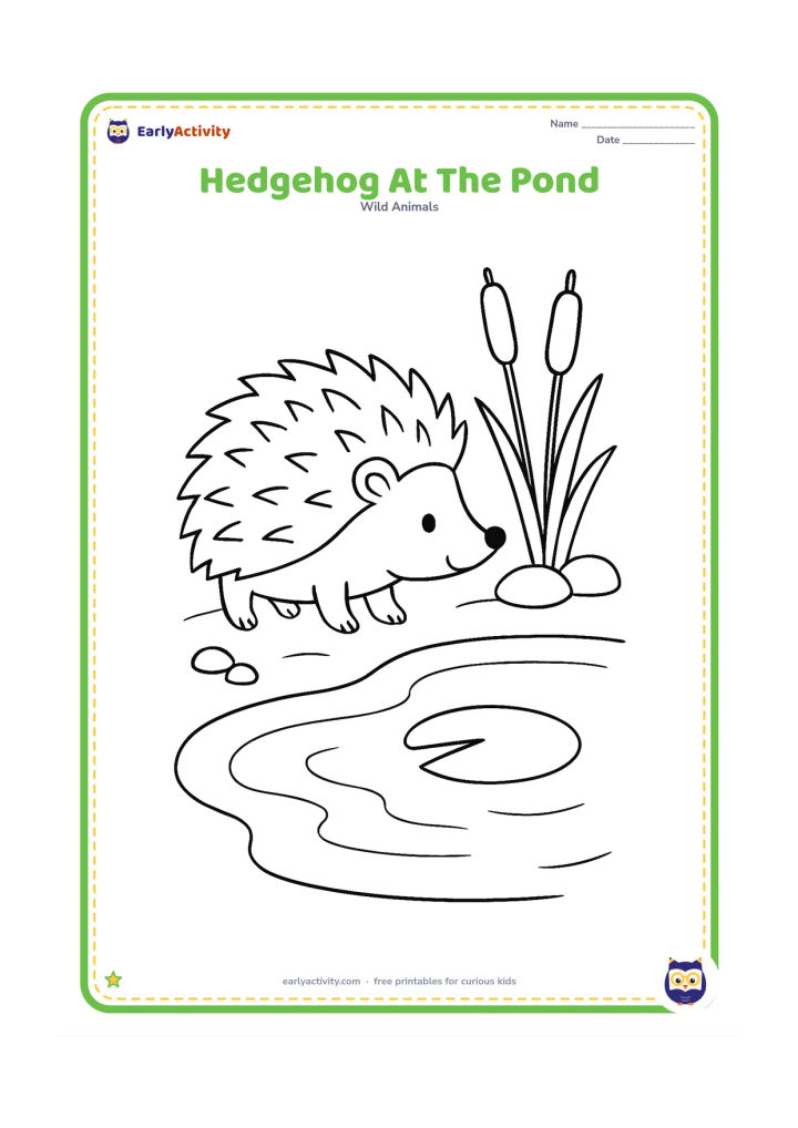 Colouring page: Draw a hedgehog standing beside a pond and looking at a single lily pad. Include two reeds, a few rounded stones and gentle water lines.