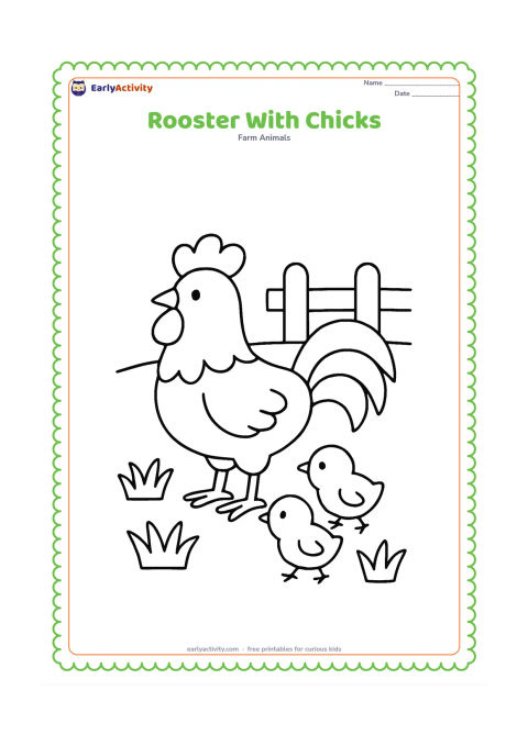 Colouring page: Draw a proud rooster watching two small chicks walking beside him. Place them in a farmyard with a low fence and three large grass clumps.