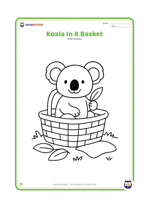 Colouring page: Draw a relaxed koala sitting in a wide picnic basket on a grassy patch, holding one eucalyptus leaf. Add two large leaves and a simple blanket shape nearby.
