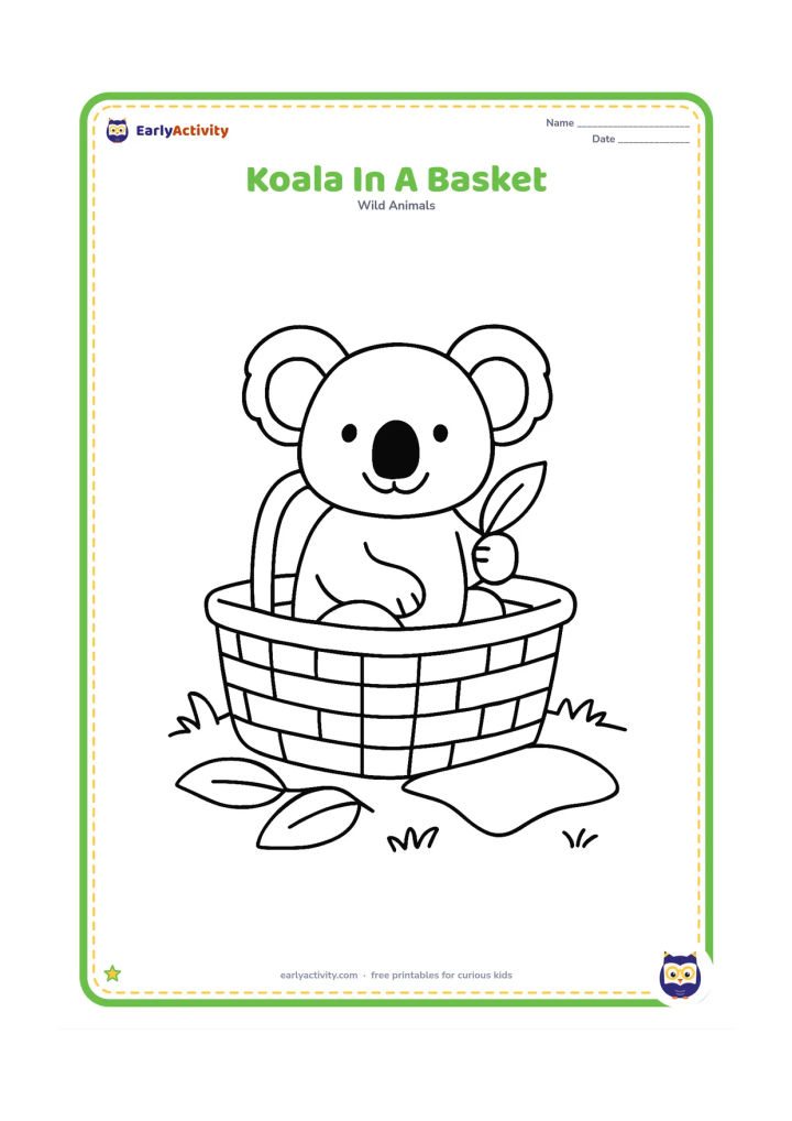 Colouring page: Draw a relaxed koala sitting in a wide picnic basket on a grassy patch, holding one eucalyptus leaf. Add two large leaves and a simple blanket shape nearby.