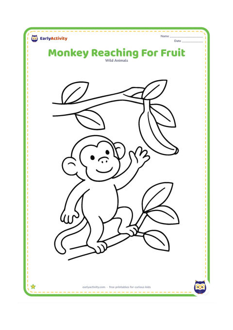 Colouring page: Draw one monkey standing on a branch and reaching toward one large banana hanging from a nearby leaf. Include only a few leaves around the branch.