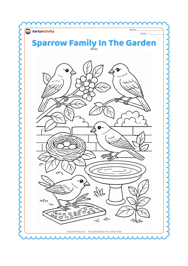 Colouring page: Draw four sparrows in a layered garden scene: two on a flowering branch, one gathering grass, and one drinking at a bird bath. Include a nest, seed tray, broad leaves, flowers, and a…