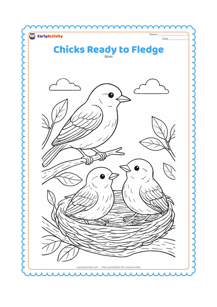 Colouring page: Two nearly grown chicks stand at the rim of a sturdy nest while a parent bird perches on a nearby branch. Include layered feathers, textured bark, several leaves and a clear open sky.