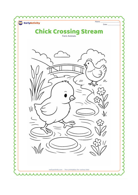 Colouring page: Draw a chick stepping across flat stones in a shallow farm stream. Include reeds, water ripples, a small footbridge, wildflowers, and a hen waiting on the bank.