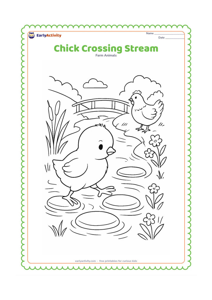 Colouring page: Draw a chick stepping across flat stones in a shallow farm stream. Include reeds, water ripples, a small footbridge, wildflowers, and a hen waiting on the bank.