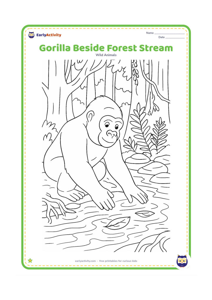 Colouring page: A gorilla kneels at a clear forest stream and reaches toward floating leaves. Include layered rocks, reflected tree shapes in the water, ferns, roots and hanging vines.