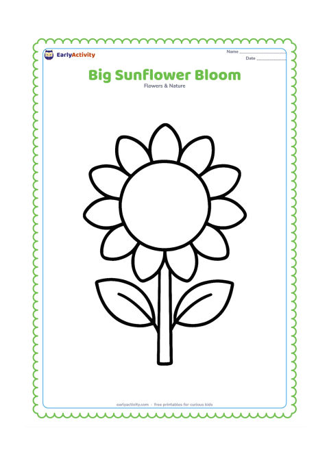 Colouring page: A single large sunflower faces forward with broad rounded petals, a big circular seed centre, two simple leaves, and a short sturdy stem. Place it alone in the middle with no background…
