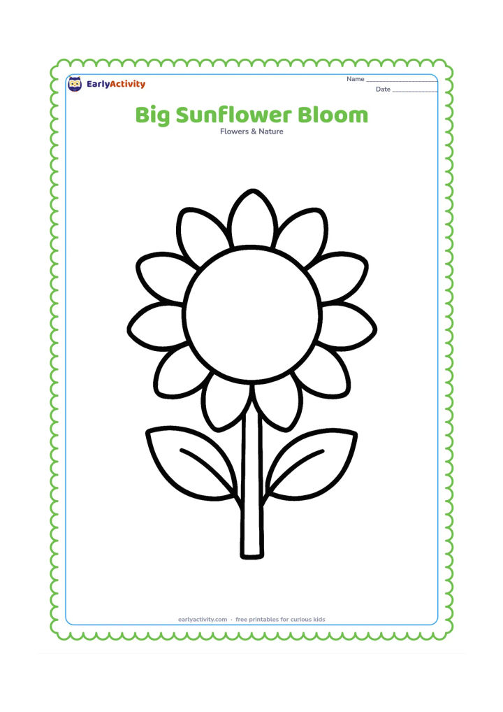 Colouring page: A single large sunflower faces forward with broad rounded petals, a big circular seed centre, two simple leaves, and a short sturdy stem. Place it alone in the middle with no background…