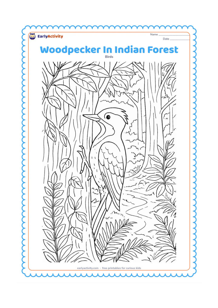 Colouring page: A woodpecker perches on a tree in an Indian forest scene with sal-like leaves, vines, ferns, layered trunks and a distant forest path. The bird should remain the focal point.
