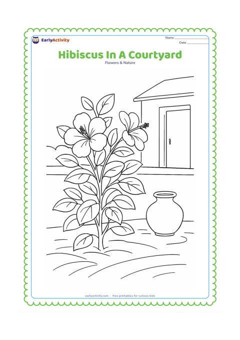 Colouring page: Draw a hibiscus bush in an Indian home courtyard, with a low wall, a clay pot, two open flowers, several leaves, and a swept ground area. Include a simple doorway in the background.