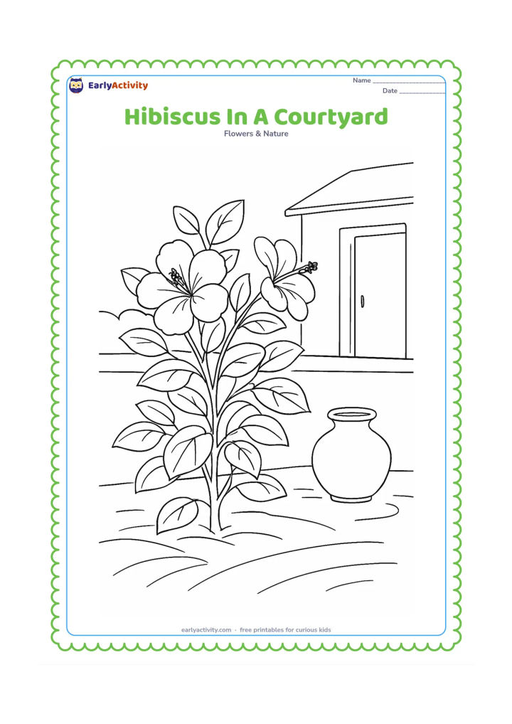 Colouring page: Draw a hibiscus bush in an Indian home courtyard, with a low wall, a clay pot, two open flowers, several leaves, and a swept ground area. Include a simple doorway in the background.