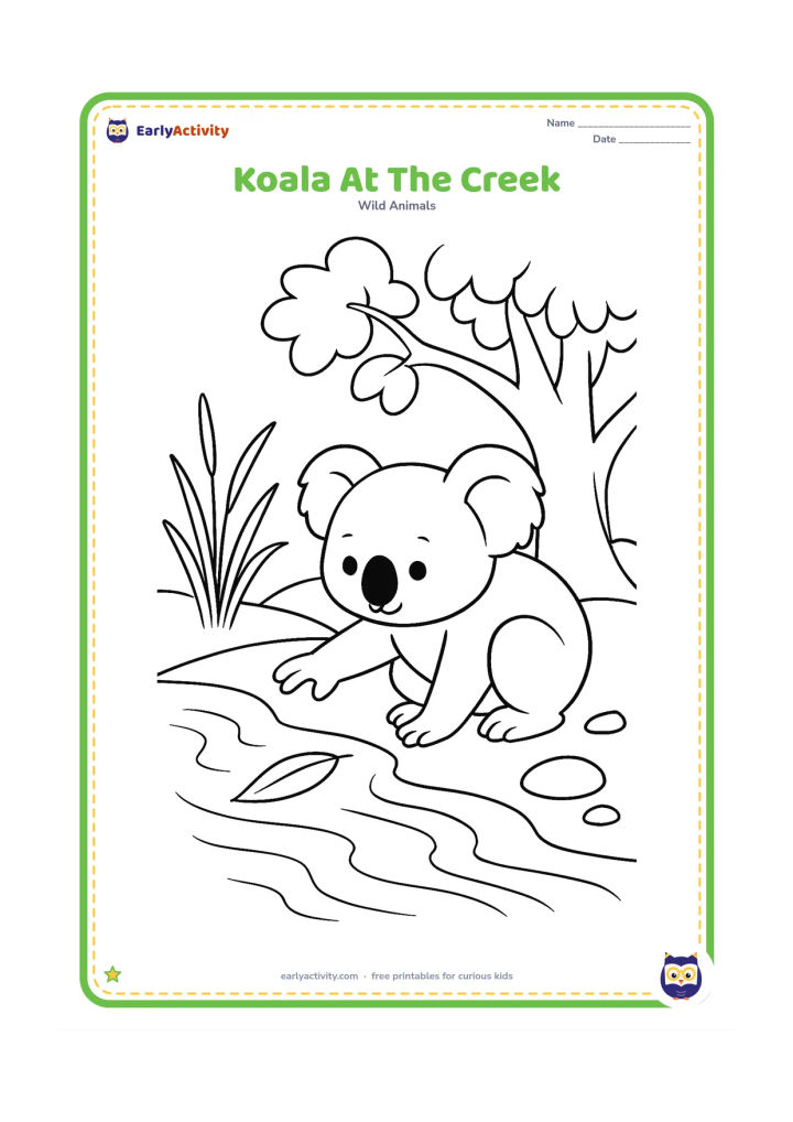 Colouring page: Draw a koala crouching beside a shallow creek and reaching toward a floating eucalyptus leaf. Include a curved bank, reeds, smooth stones and a leafy tree behind it.