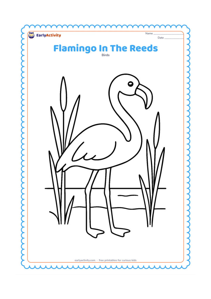 Colouring page: Draw one flamingo standing among tall but widely spaced reeds, with its neck raised and its bill pointing slightly downward. Show a simple strip of shallow water behind it.