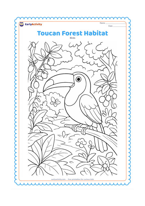 Colouring page: A toucan stands in a detailed warm forest habitat with fruit trees, broad-leaved plants, vines, flowers, a distant canopy, and a small forest path. Include several types of fruit and a…