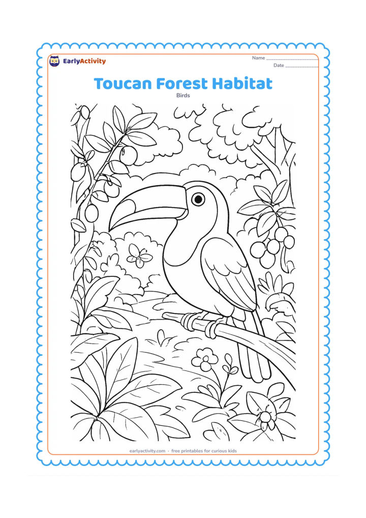 Colouring page: A toucan stands in a detailed warm forest habitat with fruit trees, broad-leaved plants, vines, flowers, a distant canopy, and a small forest path. Include several types of fruit and a…