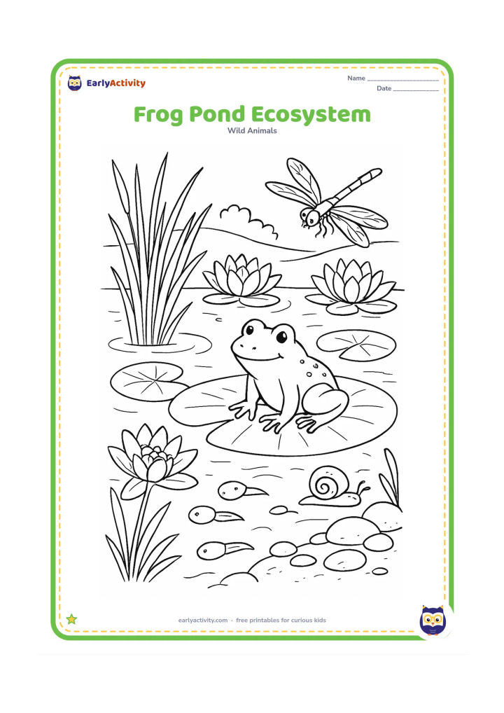 Colouring page: Draw a detailed pond scene with a frog on a lily pad, tadpoles beneath the surface, water plants, reeds, lotus flowers, stones, a snail and a dragonfly. Show the bank, shallow water and…