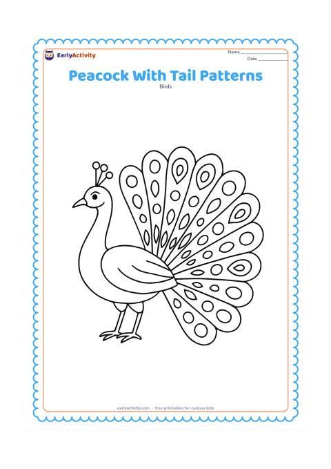 Colouring page: A peacock faces sideways with his long train spread partly open. Divide the train into large feathers containing repeated circles, teardrops, and eye-like marks.