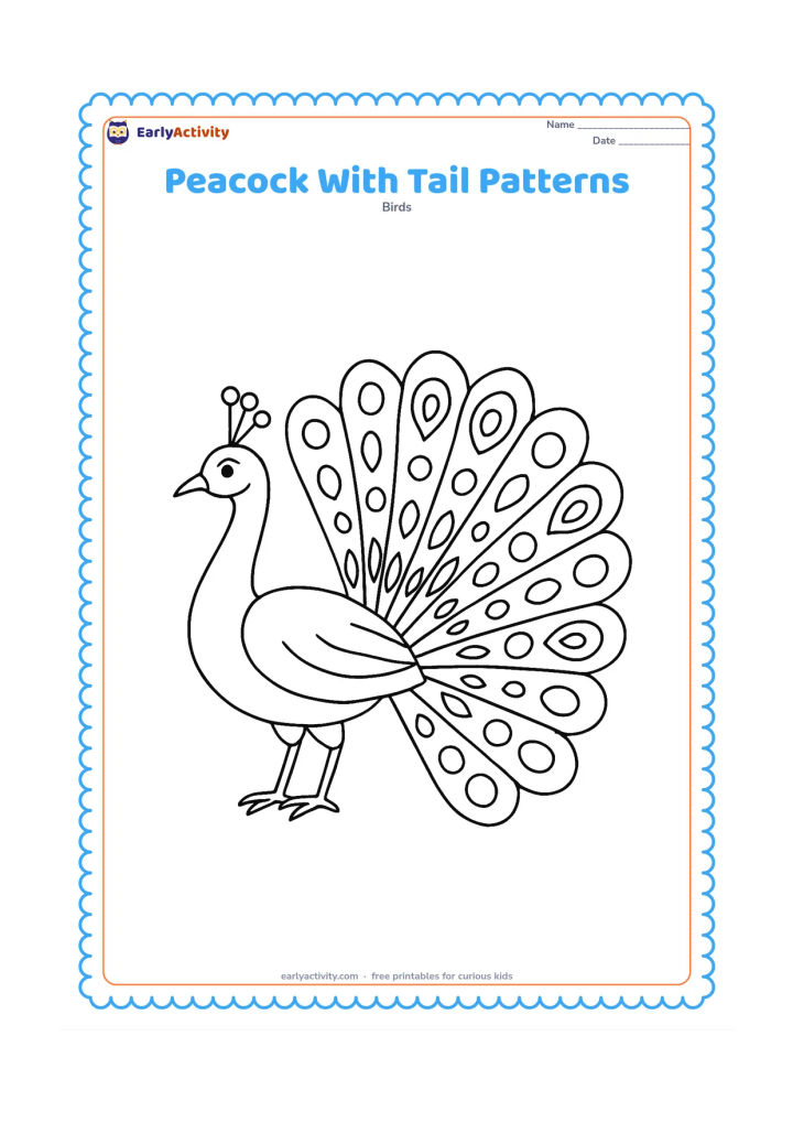 Colouring page: A peacock faces sideways with his long train spread partly open. Divide the train into large feathers containing repeated circles, teardrops, and eye-like marks.