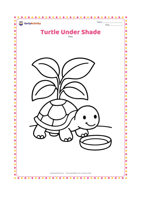 Colouring page: A pet turtle rests beneath a broad leafy shade plant on a warm day. Include a simple ground line and one large water dish beside it.