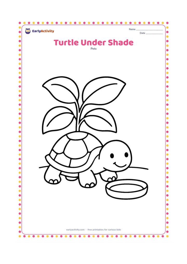 Colouring page: A pet turtle rests beneath a broad leafy shade plant on a warm day. Include a simple ground line and one large water dish beside it.