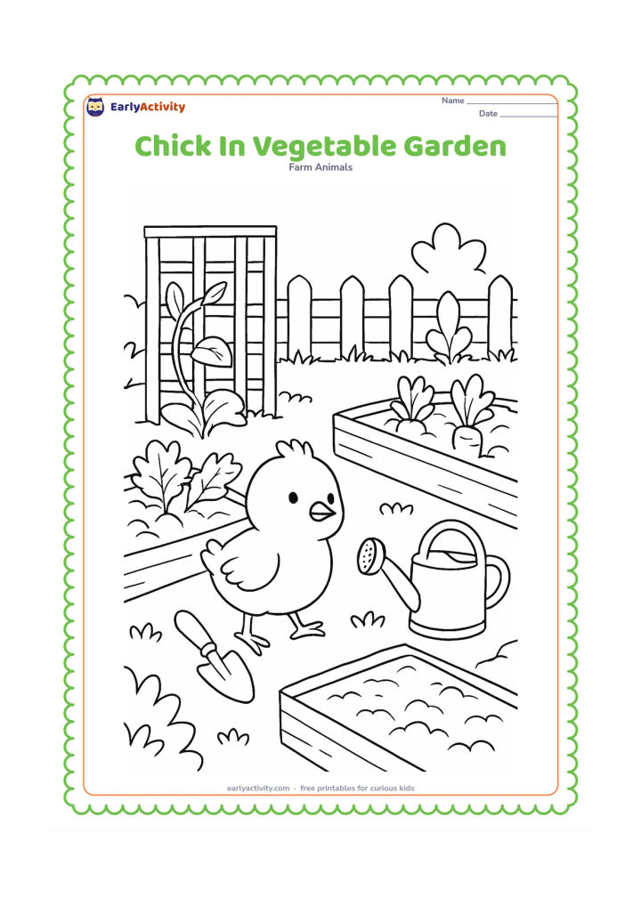 Colouring page: Draw a chick moving between neat vegetable beds with a small hand trowel nearby. Include leafy plants, carrots partly above the soil, a watering can, a trellis, and a low fence.