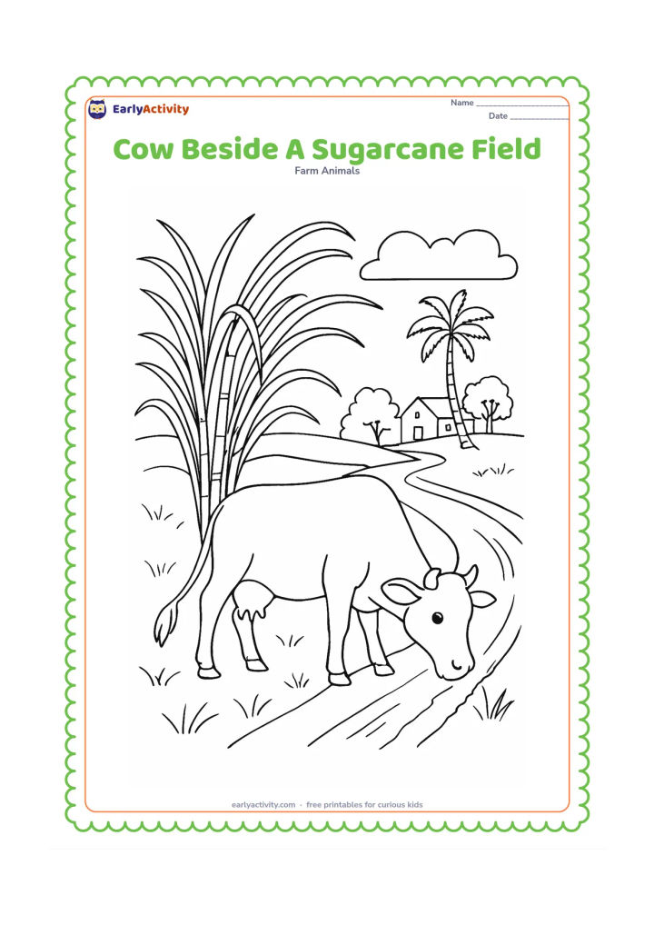 Colouring page: A cow grazes beside tall sugarcane plants, with a narrow farm path, a small irrigation ditch, a palm tree, and a distant farmhouse. Show several sugarcane leaves bending above the cow.