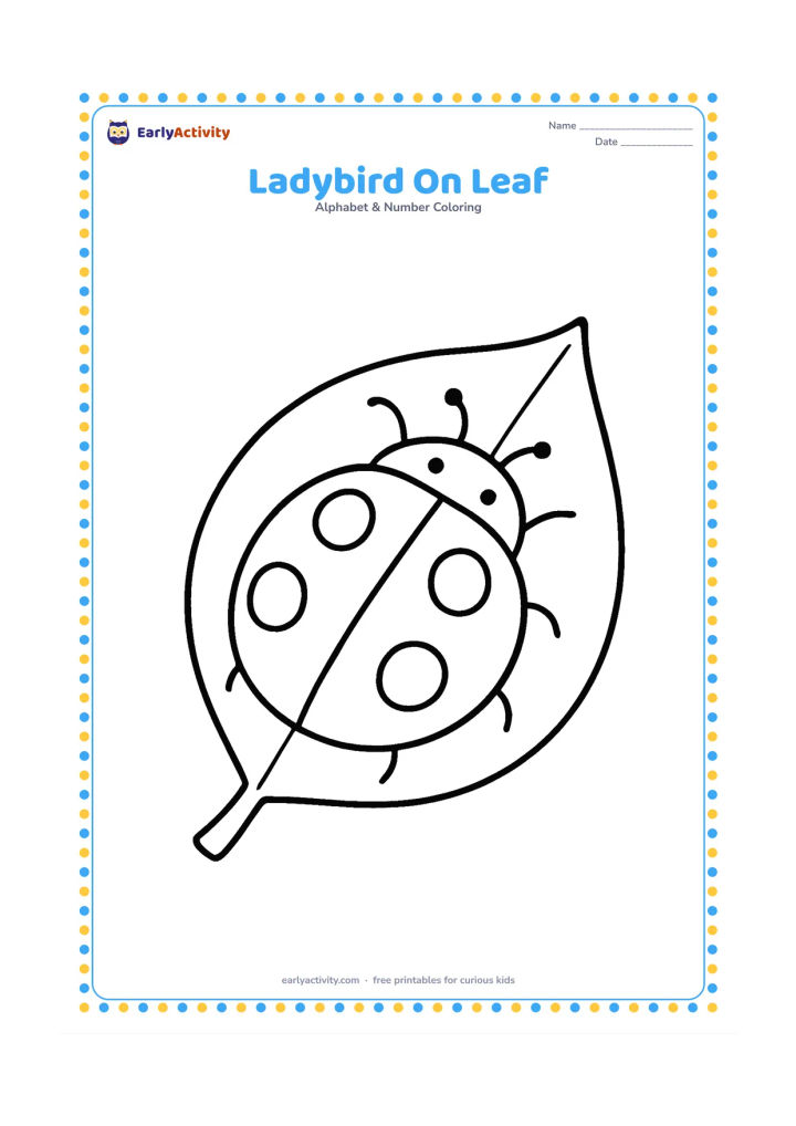 Colouring page: Draw a round ladybird resting on a large leaf, with a clear central wing line and a few big spots. Add one short stem and keep the insect fully visible.