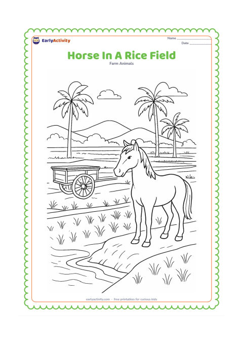 Colouring page: A horse stands on a raised path beside green rice fields in an Indian countryside scene. Add a farmer's simple handcart, palm trees, irrigation water and distant low hills.