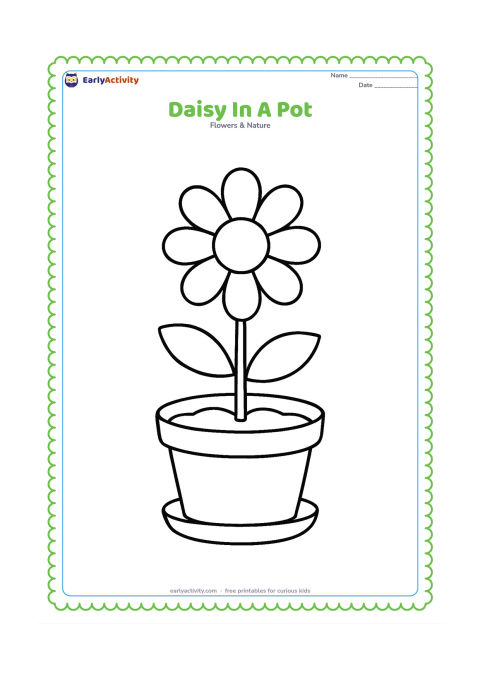 Colouring page: Draw a single daisy growing from a wide flowerpot, with a simple stem, two leaves and a large flower head. Add a small saucer and a few broad curved soil lines inside the pot.