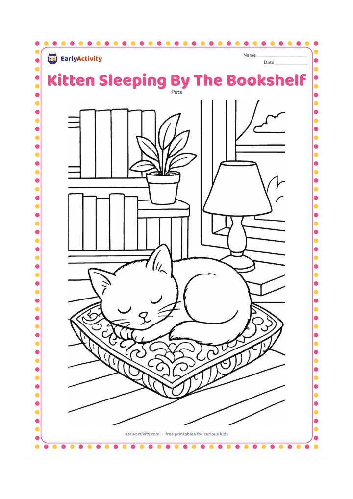 Colouring page: A curled kitten sleeps on a richly patterned cushion beside a bookshelf filled with blank-spined books, a lamp and a plant. Add floorboards, a window and soft shadow shapes.