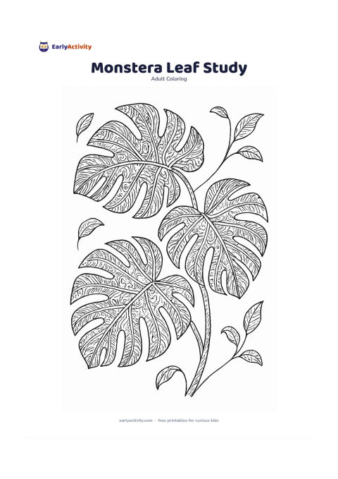 Colouring page: Draw three overlapping monstera leaves with clear lobes, stems, and vein patterns, arranged diagonally across the page. Add a few small unfurling leaves and generous open spaces around them.