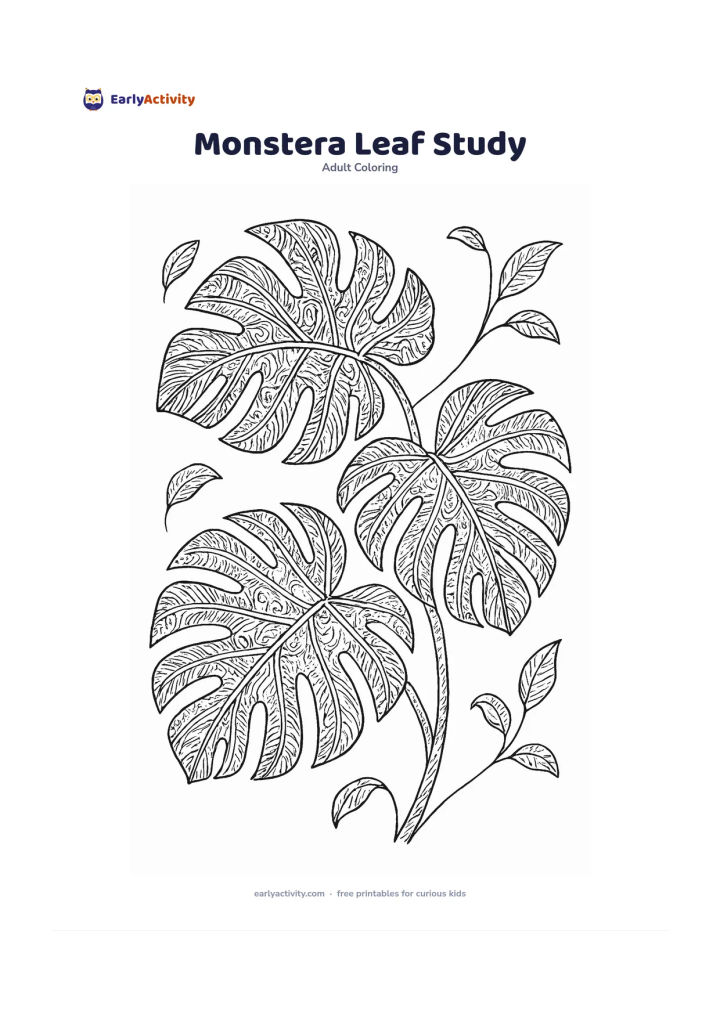 Colouring page: Draw three overlapping monstera leaves with clear lobes, stems, and vein patterns, arranged diagonally across the page. Add a few small unfurling leaves and generous open spaces around them.