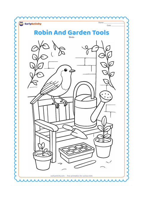Colouring page: Draw a robin standing on a wooden garden bench beside a hand trowel, watering can, seed tray and several potted plants. Add climbing vines and a simple garden wall behind the objects.
