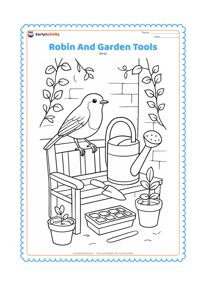 Colouring page: Draw a robin standing on a wooden garden bench beside a hand trowel, watering can, seed tray and several potted plants. Add climbing vines and a simple garden wall behind the objects.