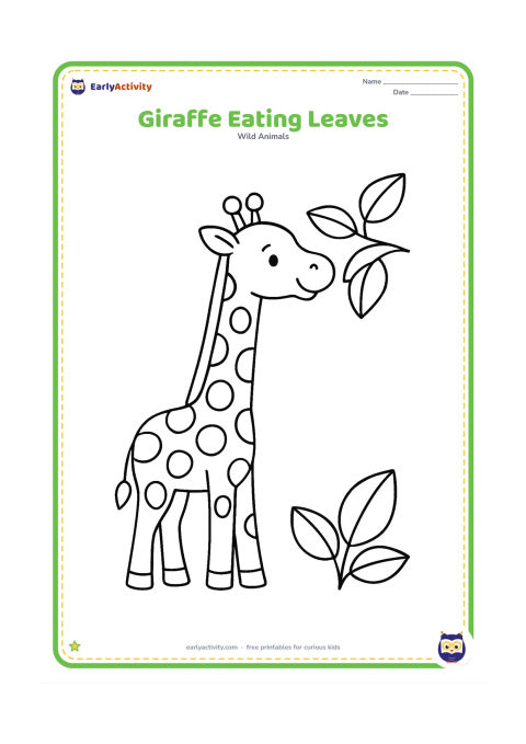 Colouring page: Draw a cheerful giraffe stretching its long neck toward a low leafy branch. Show its four legs clearly and add a few large leaves around its head.