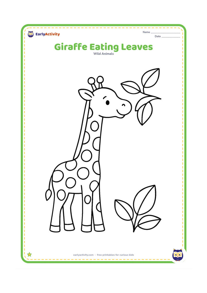 Colouring page: Draw a cheerful giraffe stretching its long neck toward a low leafy branch. Show its four legs clearly and add a few large leaves around its head.