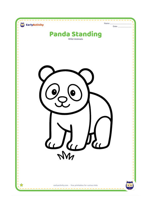 Colouring page: Draw a friendly panda standing on all fours and facing the viewer, with clear round eyes, ears, paws and a small patch of grass beneath it.