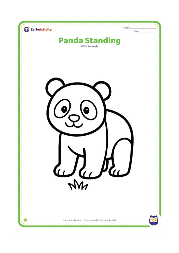 Colouring page: Draw a friendly panda standing on all fours and facing the viewer, with clear round eyes, ears, paws and a small patch of grass beneath it.